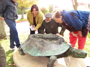 Turtle Island, Puget Sound installed